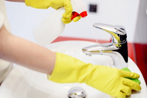 Stain and odor removal on a household sofa