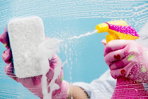 Professional carpet cleaning during an appointment