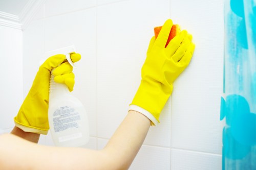 Dust and stain removal during mattress cleaning in Whitton
