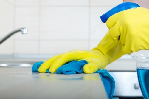 Cleaner working on a carpet with treatment tools