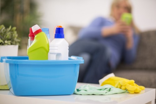 Eco-friendly carpet cleaning team focused on sustainability