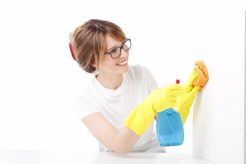 Local carpet cleaning specialists working on a residential carpet